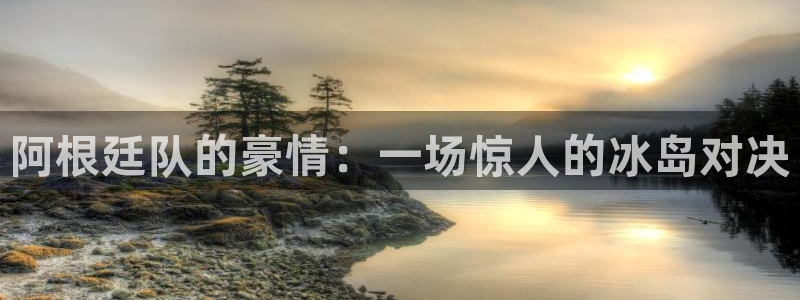 足球世界杯赛程:阿根廷队的豪情:一场惊人的冰岛对决