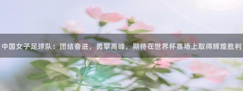 2026世界杯欧洲预选赛赛程表:中国女子足球队:团结奋进,勇攀高峰,期待在世界杯赛场上取得辉煌胜利