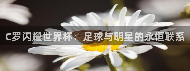 2026世界杯赛程:C罗闪耀世界杯:足球与明星的永恒联系