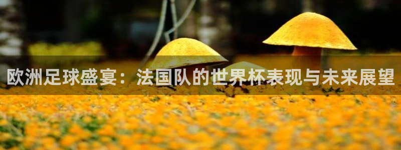 2026世界杯南美区积分榜:欧洲足球盛宴:法国队的世界杯表现与未来展望