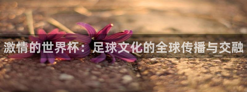 世界直播:激情的世界杯:足球文化的全球传播与交融