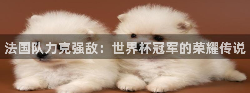 欧洲世界杯预选赛赛程:法国队力克强敌:世界杯冠军的荣耀传说