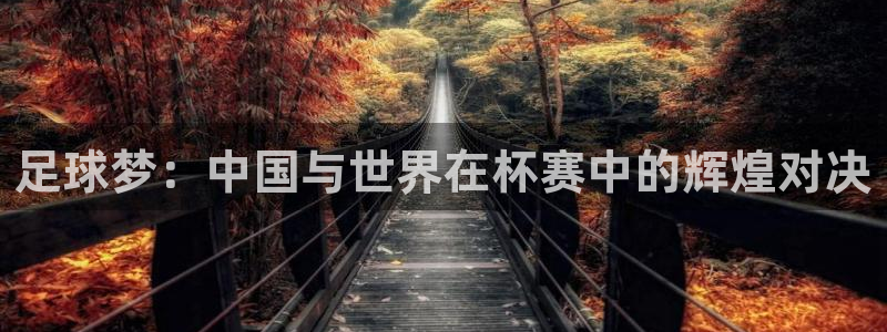 男足世界杯预选赛赛程:足球梦:中国与世界在杯赛中的辉煌对决