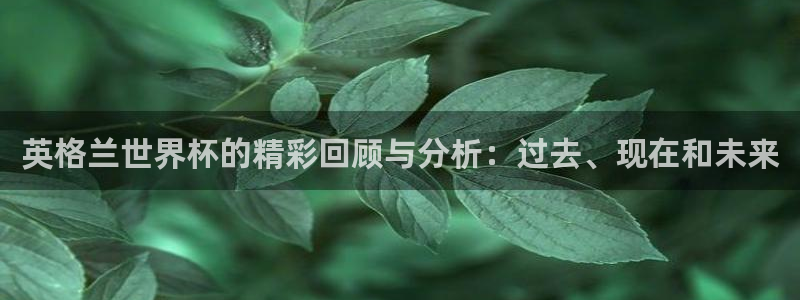 世界杯直播在线观看入口:英格兰世界杯的精彩回顾与分析:过去、现在和未来