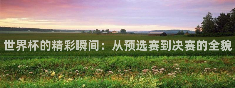 世界杯女足直播:世界杯的精彩瞬间:从预选赛到决赛的全貌